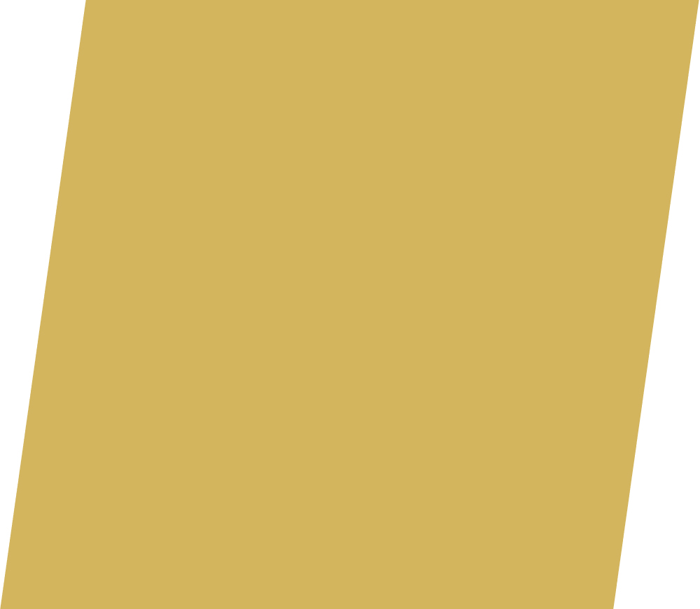 home_03_image_01 https://pot1.gcm.codes/wp-content/uploads/2025/09/home_03_image_01.jpg